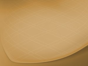 用户反馈